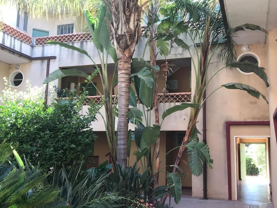 Superbe Duplex En Bord De Mer La Ciotat Eksteriør billede